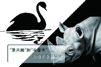 黑天鹅,灰犀牛,明斯基时刻